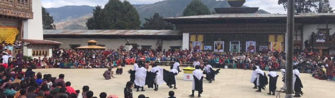 Black Necked Crane dance
